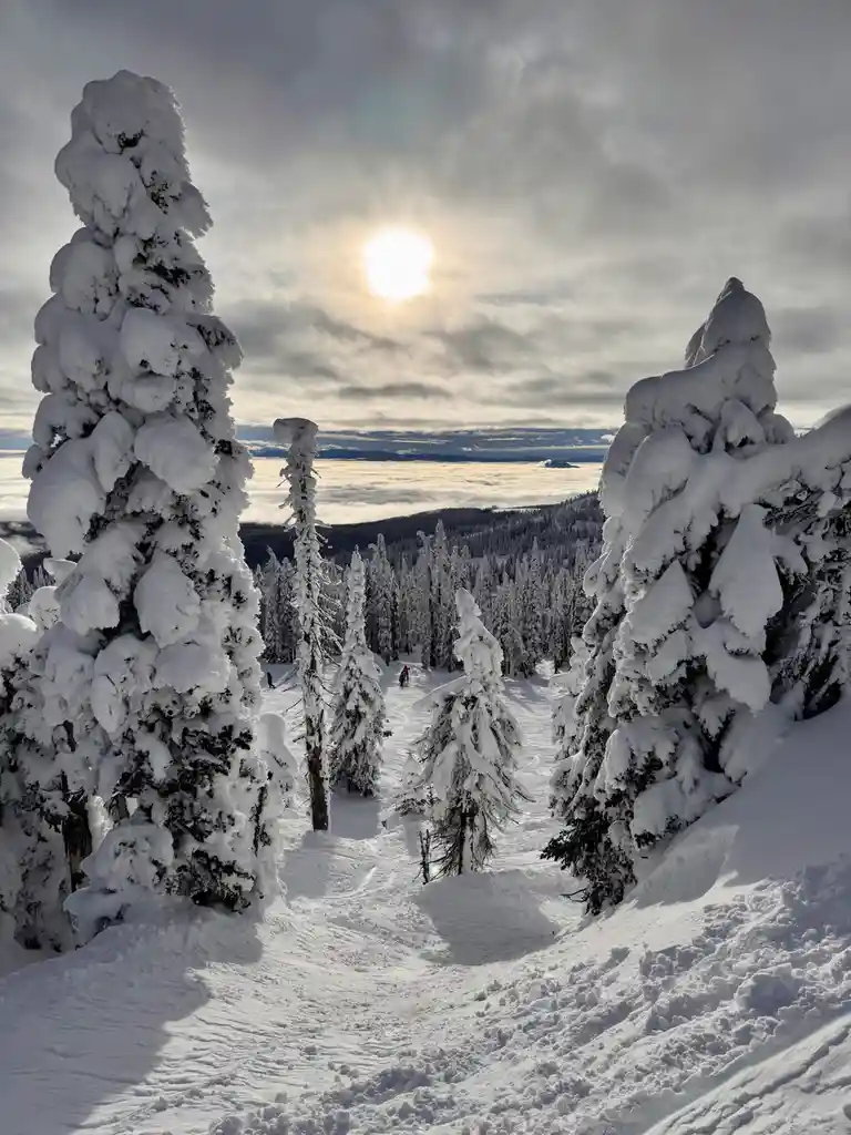 Winter Wonderland: A Glimpse of Snow-Covered Canada