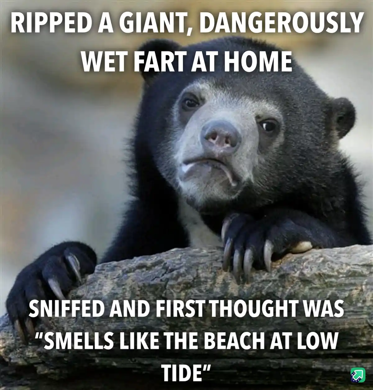 A close-up photo of a sloth bear with a confused, unimpressed expression, resting its paws on a log. White bold text…