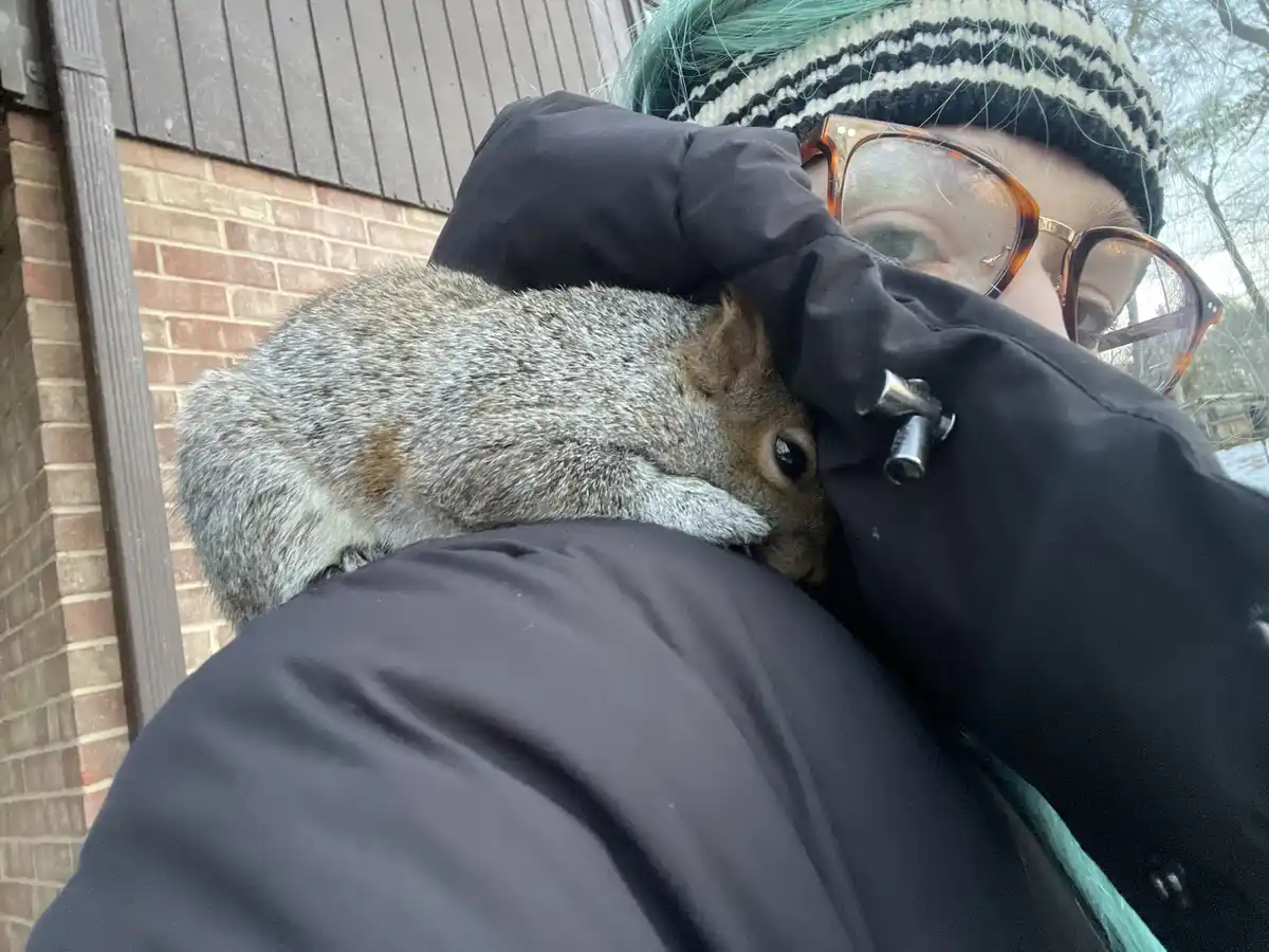 A person with green hair, wearing a black and white striped beanie and tortoiseshell glasses, is holding a gray squirrel…