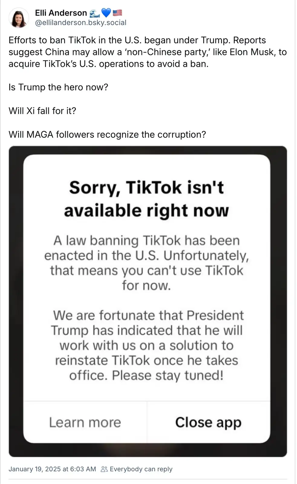 The image displays a mock TikTok app error screen stating TikTok is unavailable due to a U.S. ban, with text crediting…