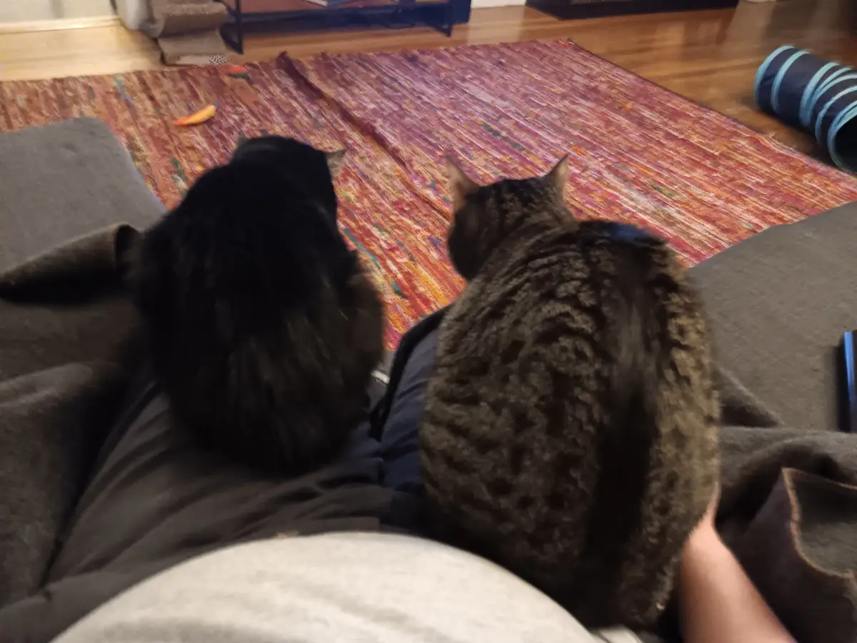 Stay Warm with This Innovative Dual Space Heater