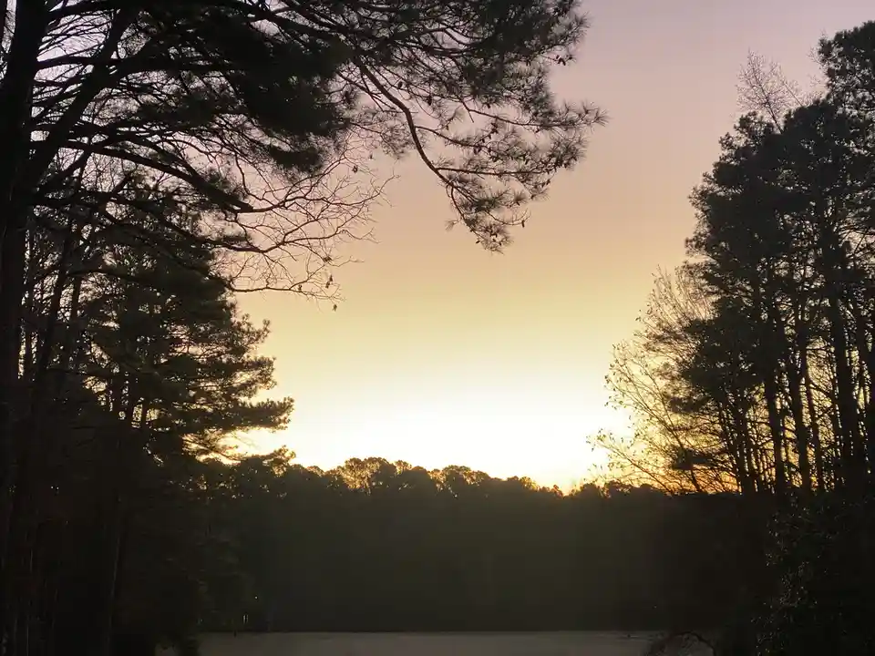 A serene sunset photo framed by silhouetted pine trees, with the sun low on the horizon casting a warm glow. Overlaid text…