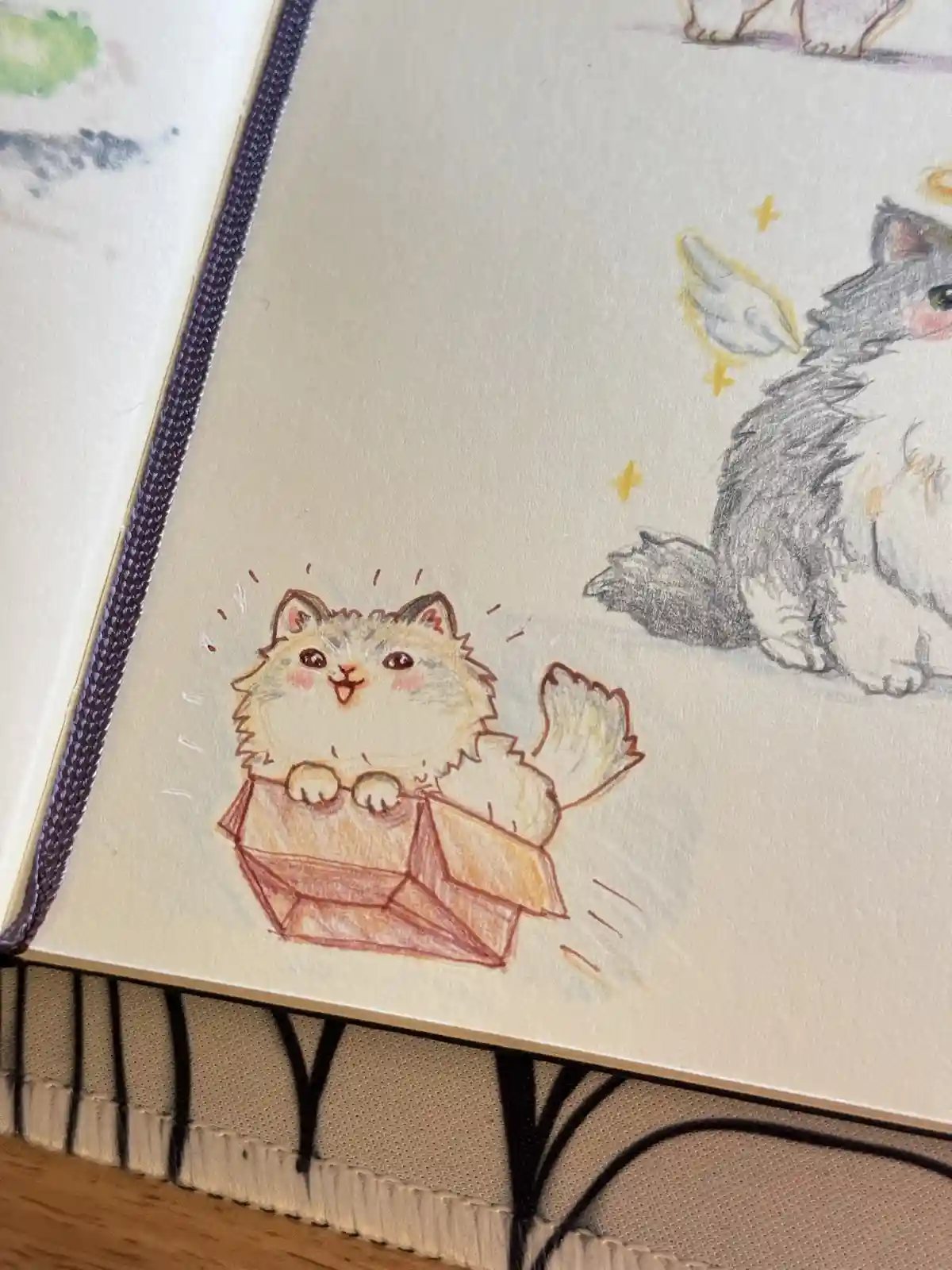 A hand-drawn illustration in a sketchbook shows a fluffy, happy-looking cat peeking out of an open gift box, with motion…