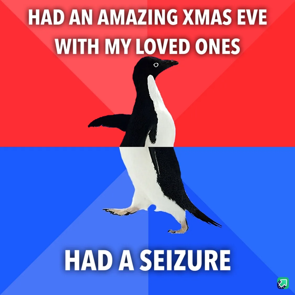 A penguin stands centered against a red and blue background split diagonally. White text at the top reads 'HAD AN AMAZING…