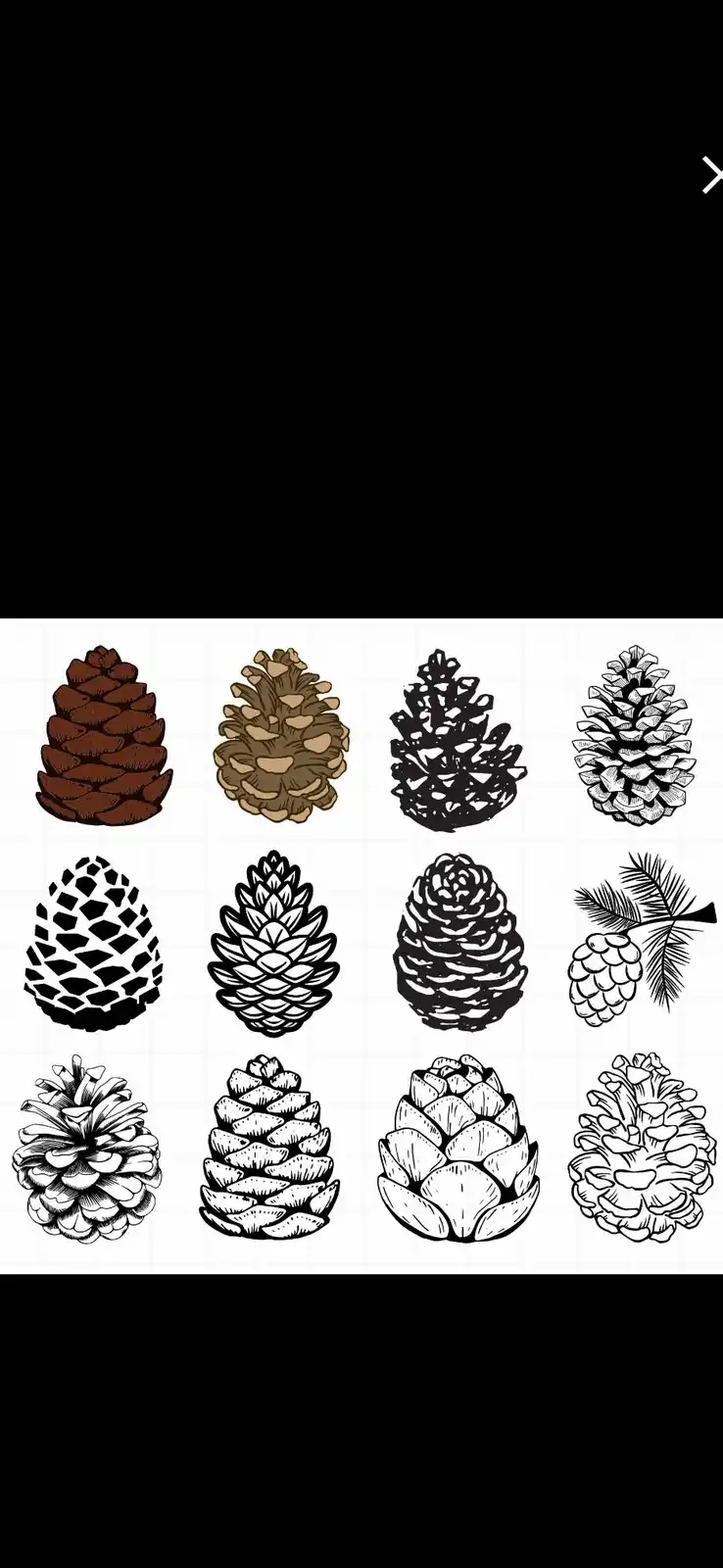 The image displays a grid of twelve different artistic illustrations of pine cones, varying in style from colored sketches…