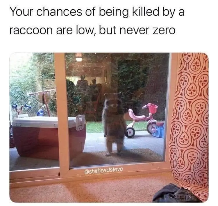 A raccoon stands upright on a patio outside a sliding glass door, looking into a house. Inside, a pink tricycle and a large…
