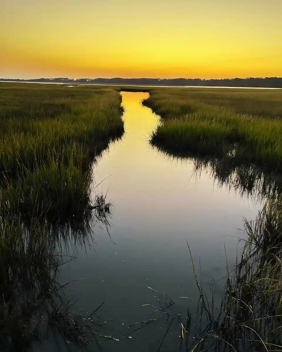 A serene landscape photo shows a narrow water channel winding through tall green marsh grasses at sunset, with the sky…