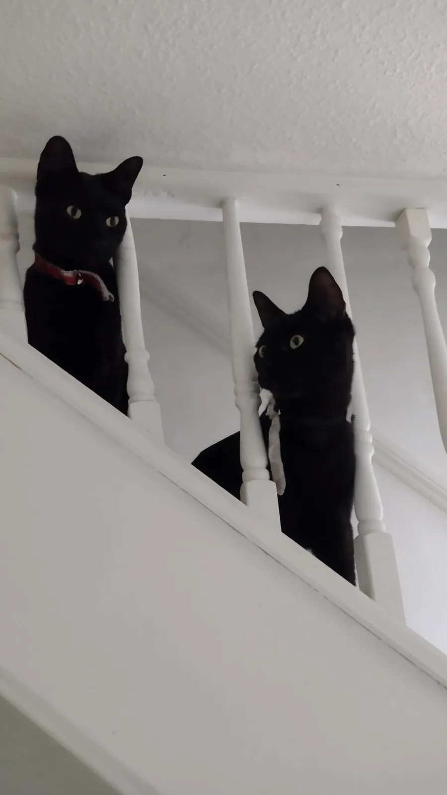 The Mystery: Who, What, Where?