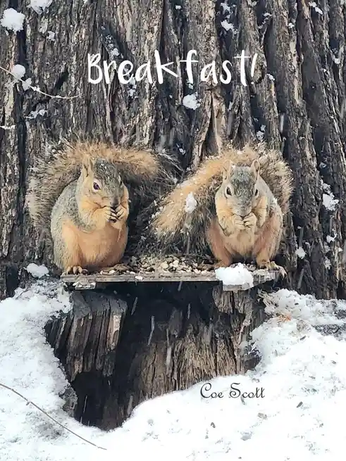 Two squirrels sit side-by-side on a snowy wooden platform attached to a tree stump, both holding food in their paws and…
