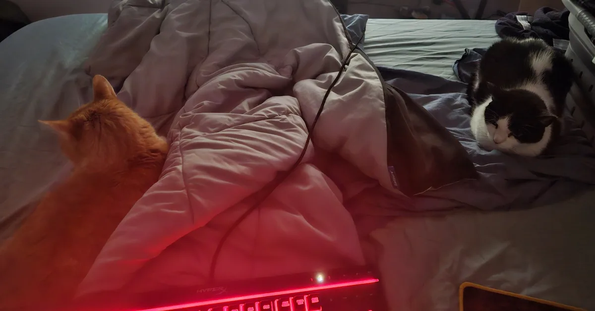 Two cats rest on a rumpled bed next to a glowing red laptop; one orange cat sleeps on the left, the other black-and-white…