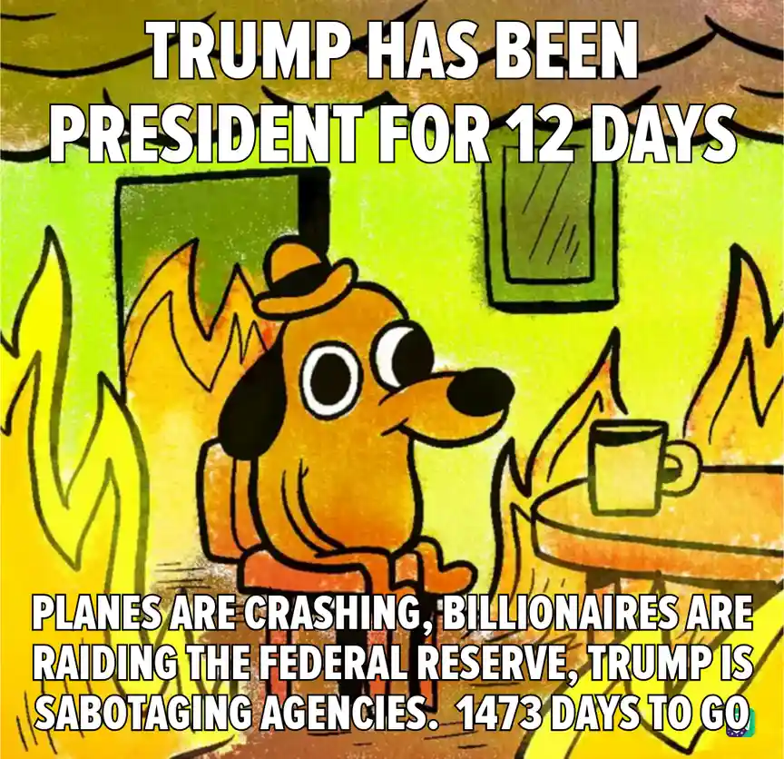 A cartoon dog wearing a hat sits calmly in a room with flames on either side, a mug on a table, and a green framed picture…