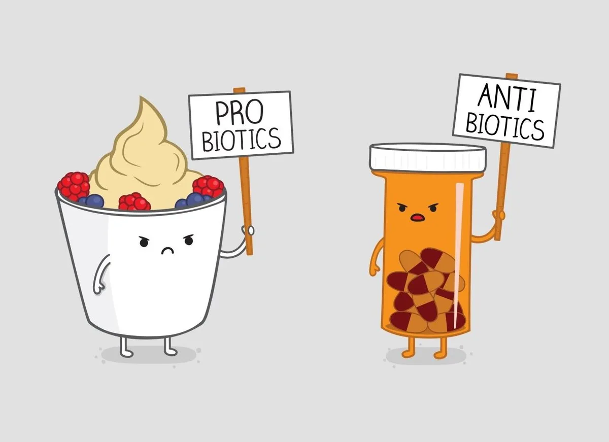A cartoon yogurt cup with berries holds a sign reading 'PRO BIOTICS' while an angry cartoon pill bottle holds a sign reading…