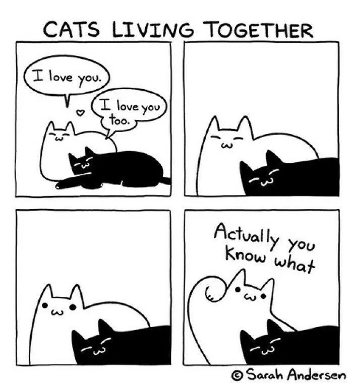 A four-panel black-and-white comic strip titled 'CATS LIVING TOGETHER' shows two cats, one white and one black, cuddling. In…