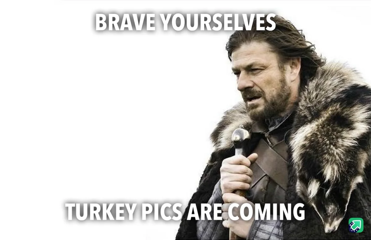 A man in a fur-lined coat holds a hammer, looking determined. The text reads 'BRAVE YOURSELVES' at the top and 'TURKEY PICS…