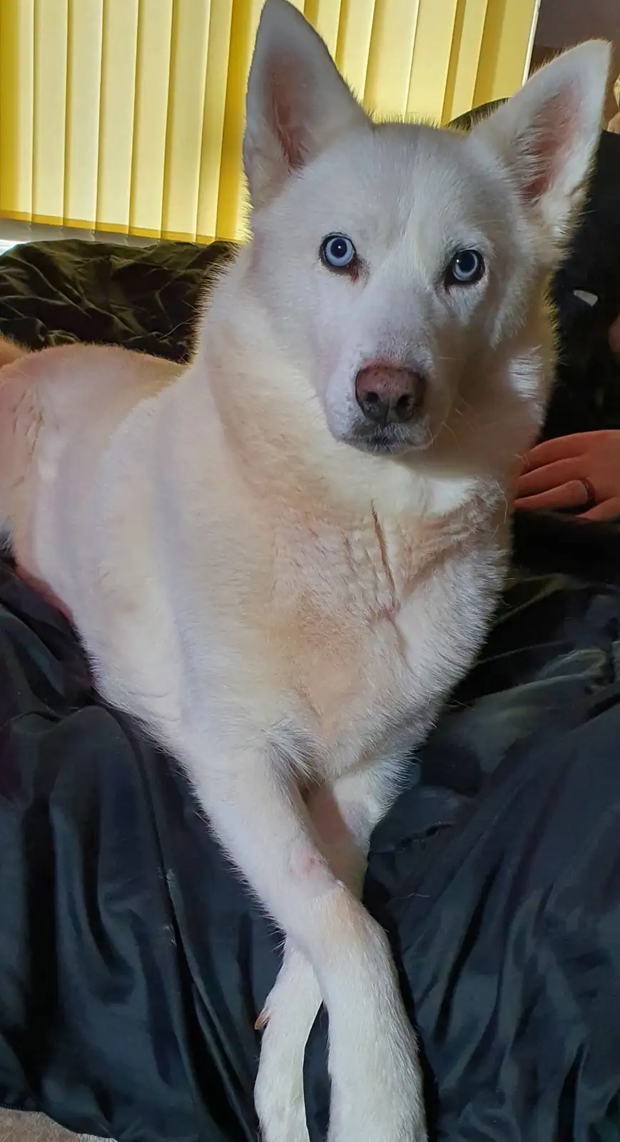 Say hello to the adorable little Luna!