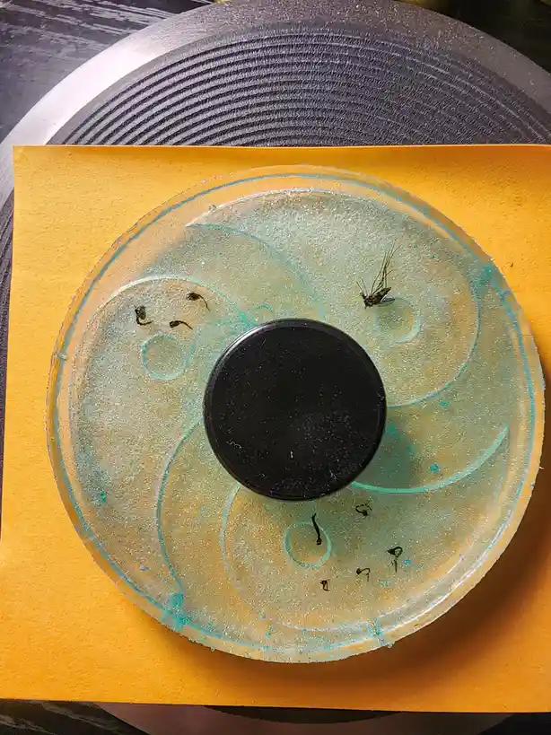 A clear petri dish with a drawn yin-yang symbol contains a live mosquito on one side and several dead insects on the other…