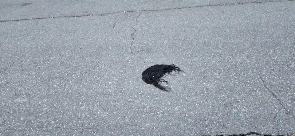 A small, dark, tangled clump of hair lies on a cracked asphalt surface. The image is overlaid with the text 'i lost my hair…