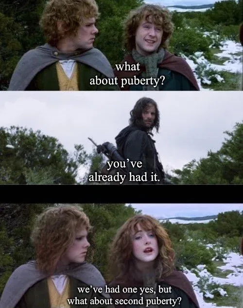 A three-panel meme using scenes from 'The Lord of the Rings' featuring characters in snowy forest settings. The top panel…