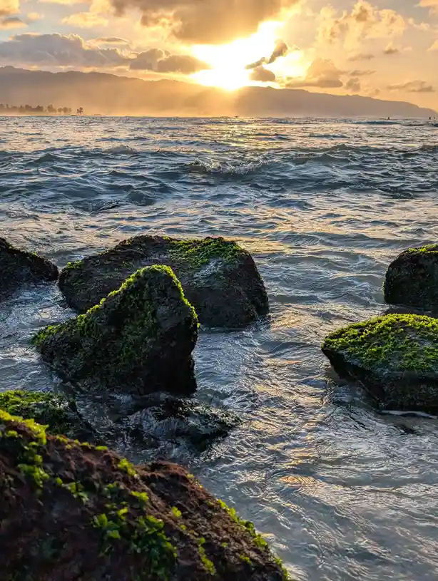 A serene sunset over the ocean with waves crashing against moss-covered rocks in the foreground. The sun is low on the…