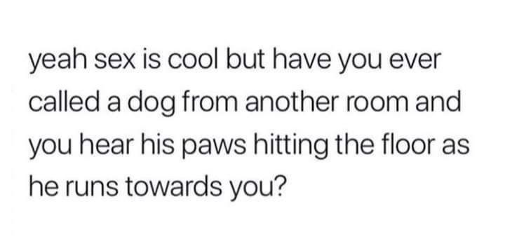 The image displays plain black text on a white background. The text reads: 'yeah sex is cool but have you ever called a dog…