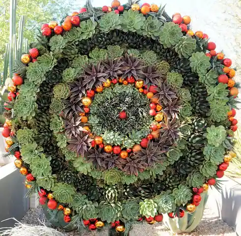 a large, circular decorative arrangement resembling a christmas wreath, composed of various succulents and cacti in shades…