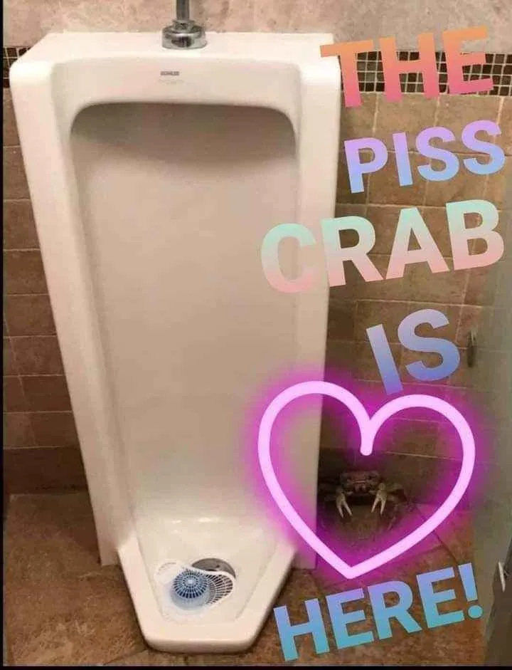 A white urinal is shown in a tiled bathroom, with a small crab visible at its base. Overlaid text in colorful gradient font…