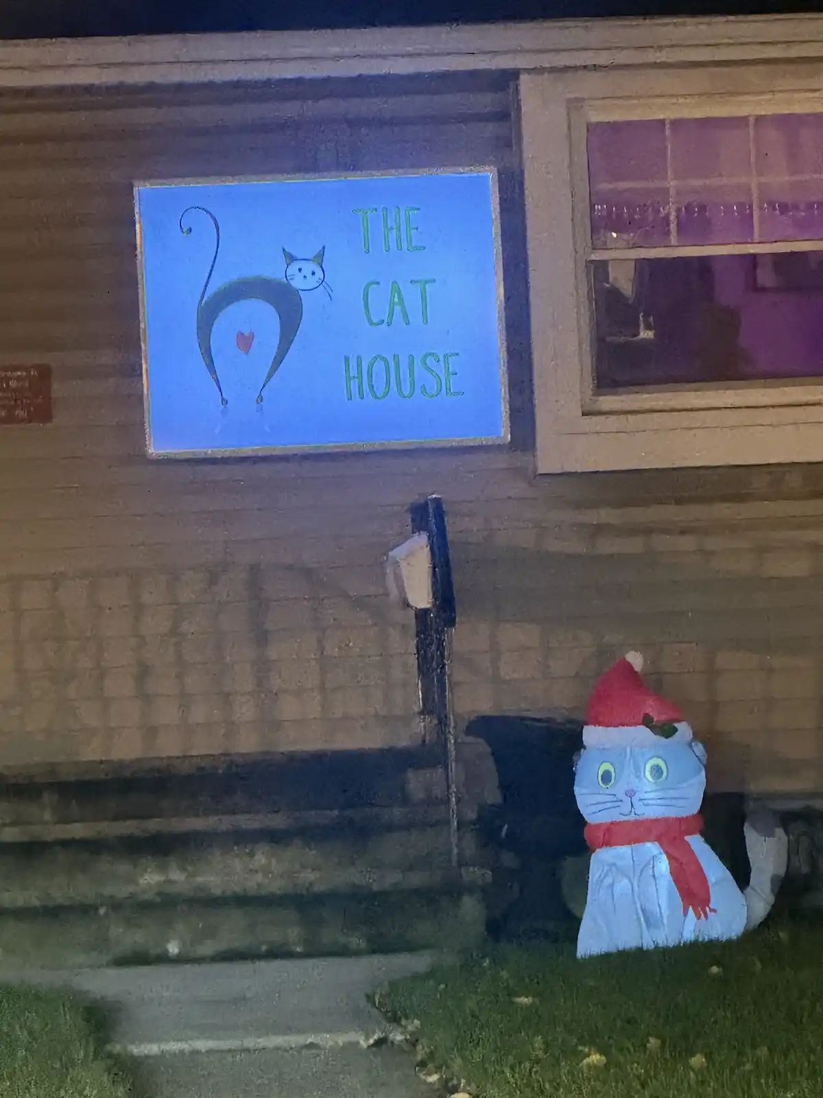 Is this cat really giving me a peek at its backside?