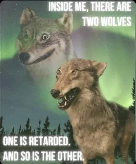 The image shows two wolves against a green aurora borealis background with trees at the bottom. The top wolf has a…
