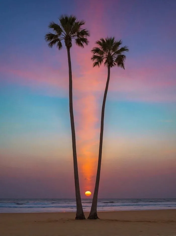 The weather's perfect, just missing you...