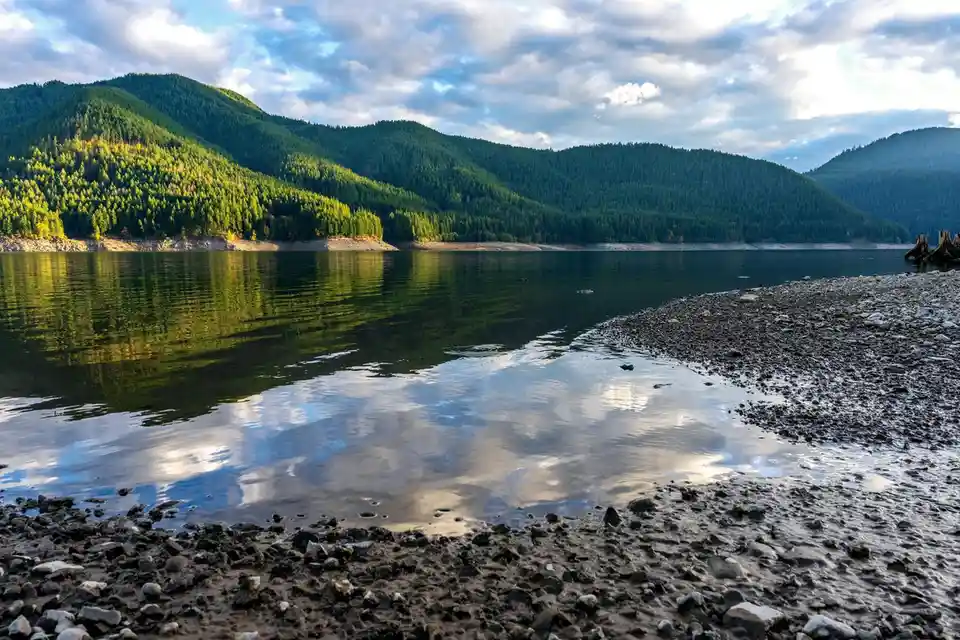 A Serene Day by the Lake