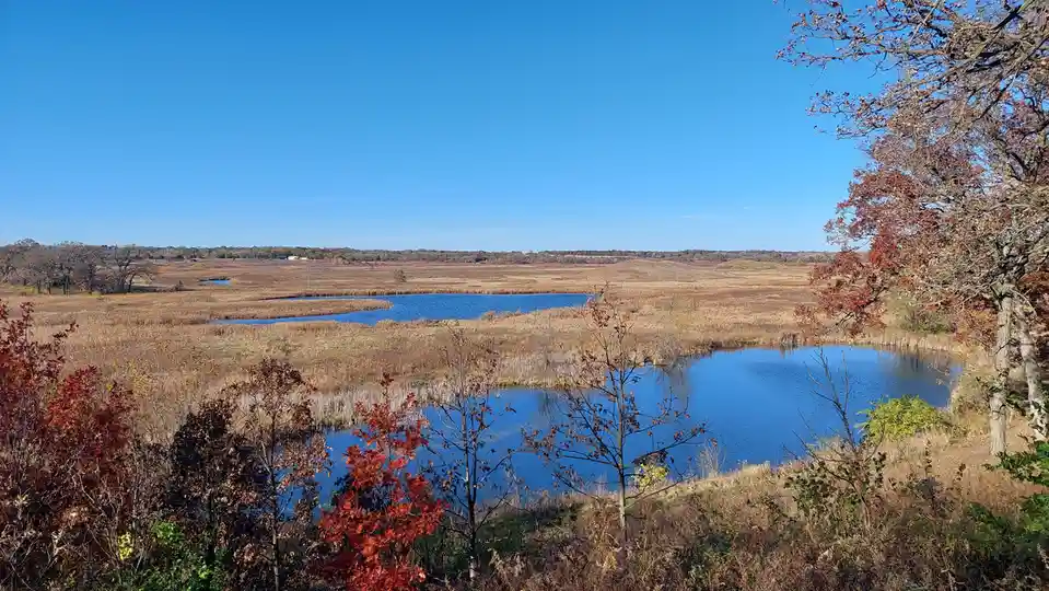 A scenic autumn landscape featuring a calm blue lake surrounded by golden-brown reeds and trees with red and orange leaves…
