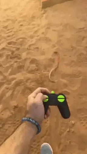 A six-panel image sequence shows a person holding a video game controller in the sand, then a snake appearing nearby…