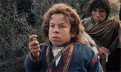 When an Acorn Can Solve Your Smallest Problems