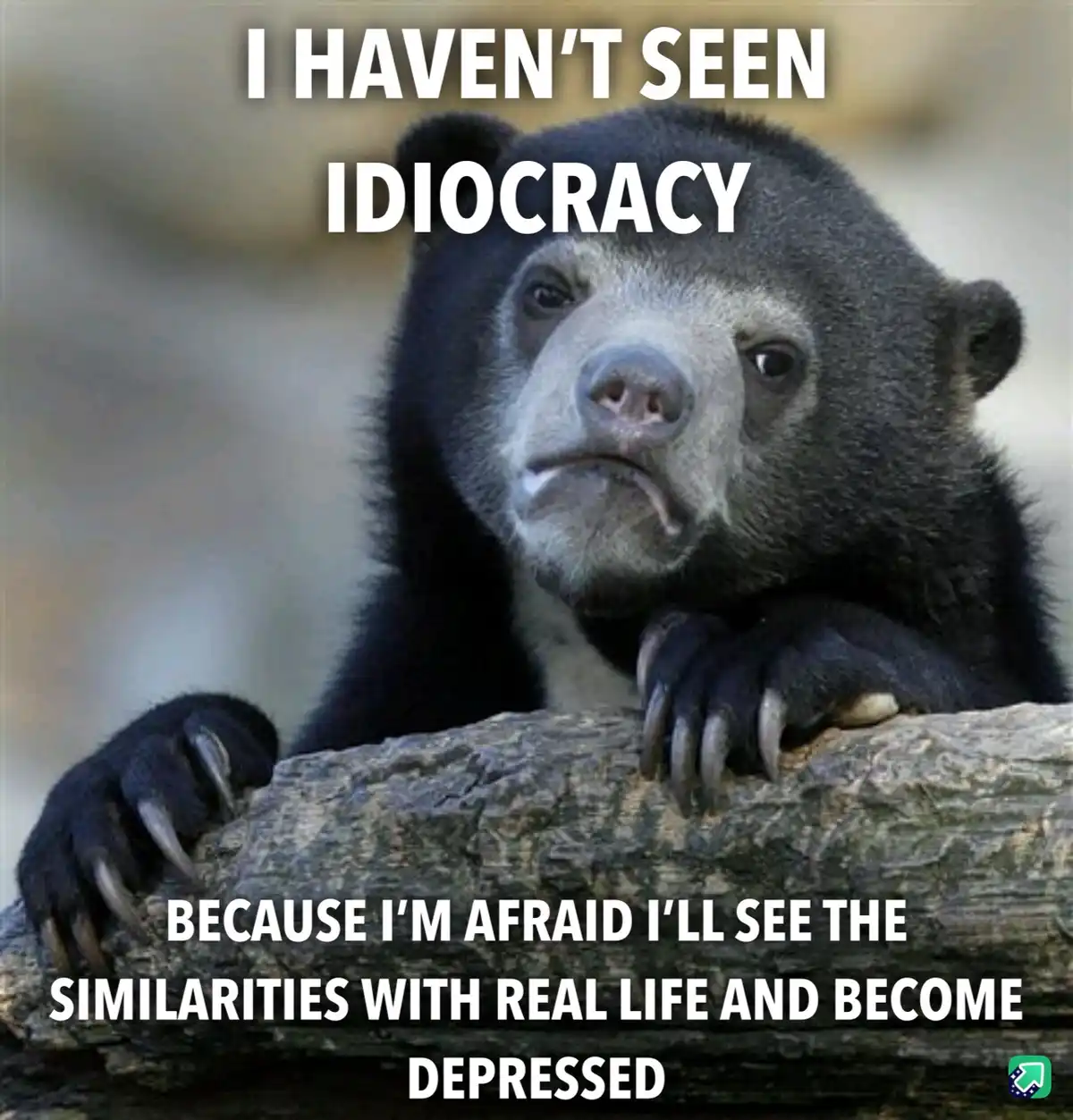 Living in Blissful Ignorance: The Sweetest Escape