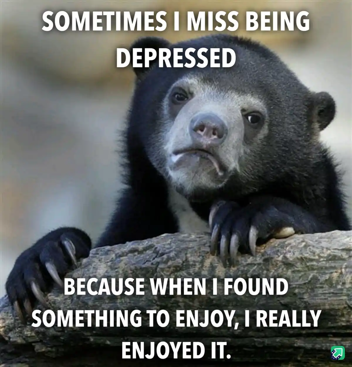 A close-up photo of a sad-looking spectacled bear resting its paws on a log, with white text overlaid in two sections…