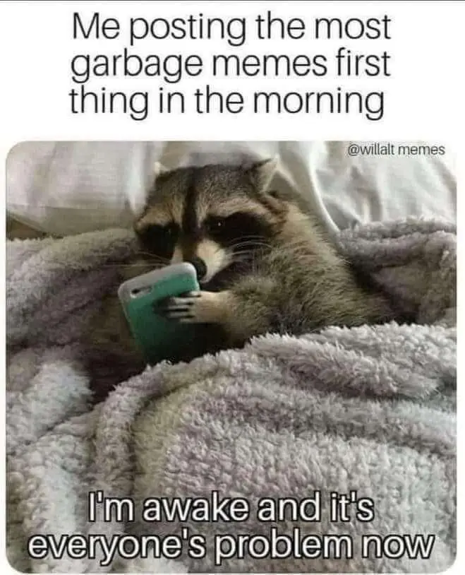 A raccoon is nestled in a fluffy grey blanket, holding a teal smartphone with its paws and looking at the screen. The top…