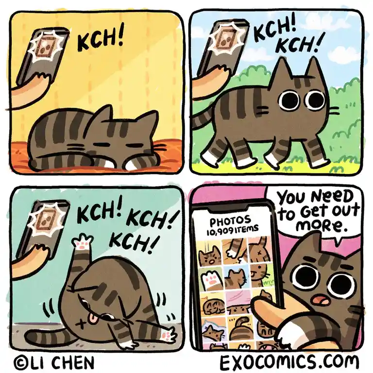 A four-panel comic shows a tabby cat being repeatedly photographed with a phone, starting while sleeping, then waking up…