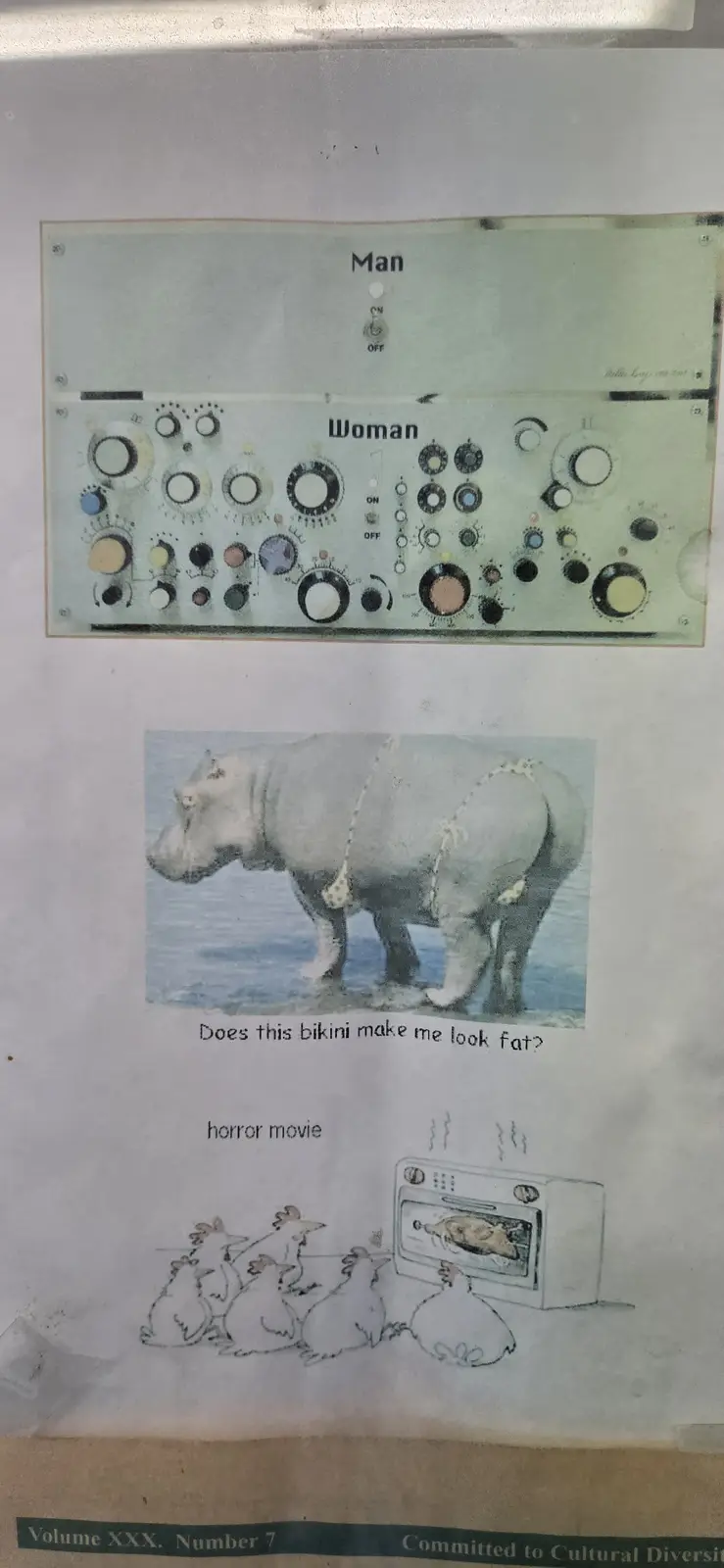 Vintage Print Memes for Cake Day at the Laundromat