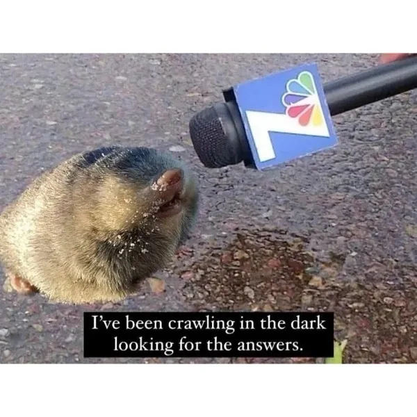 A small, furry mole is shown on an asphalt surface, facing a microphone with the NBC logo. The mole appears to be speaking…