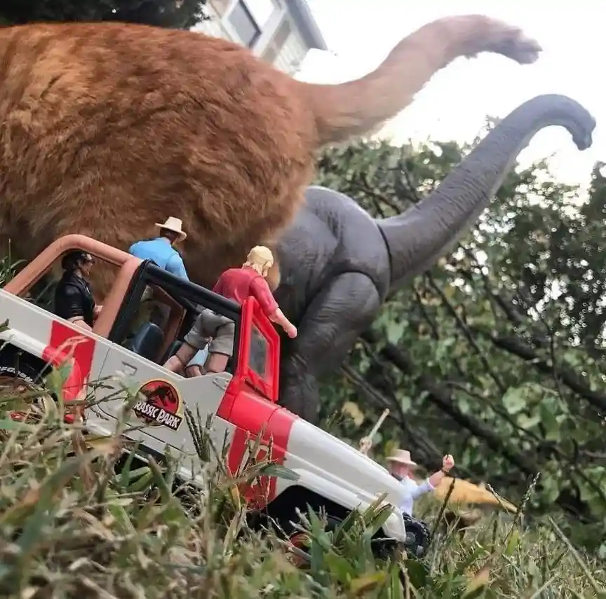 A real-life ginger cat is positioned as if it's a giant dinosaur, towering over a toy Jurassic Park jeep with miniature…