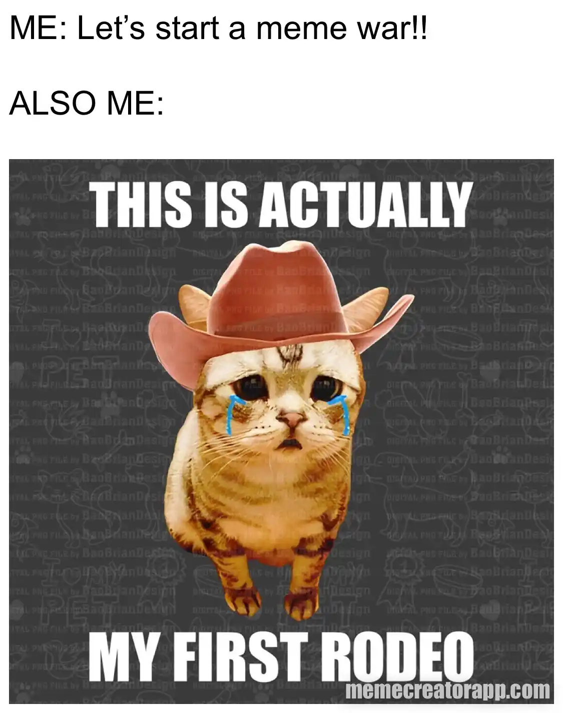 The image shows a crying orange tabby cat wearing a pink cowboy hat, with large white text above and below it. The top text…