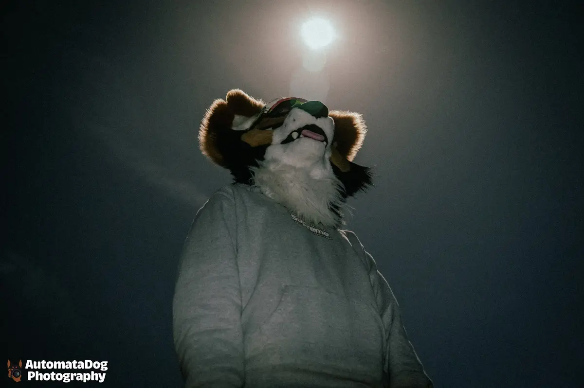 A person in a fursuit resembling a tiger or similar striped feline, wearing a grey hoodie with a 'Supreme' logo, stands in a…