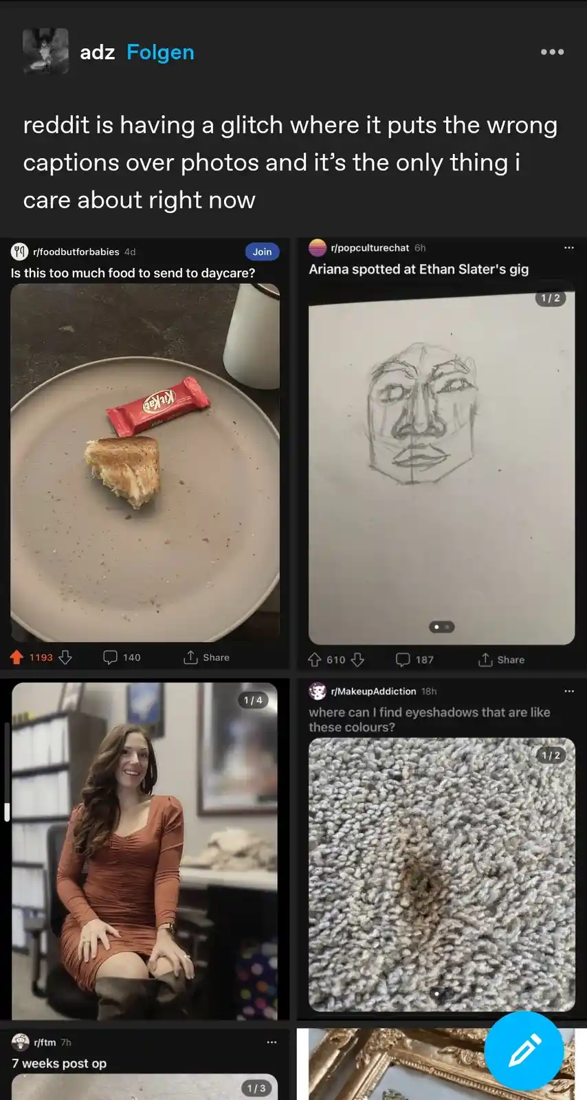 The image displays a screenshot of a Reddit feed showing four posts with mismatched captions. One shows a plate with a…