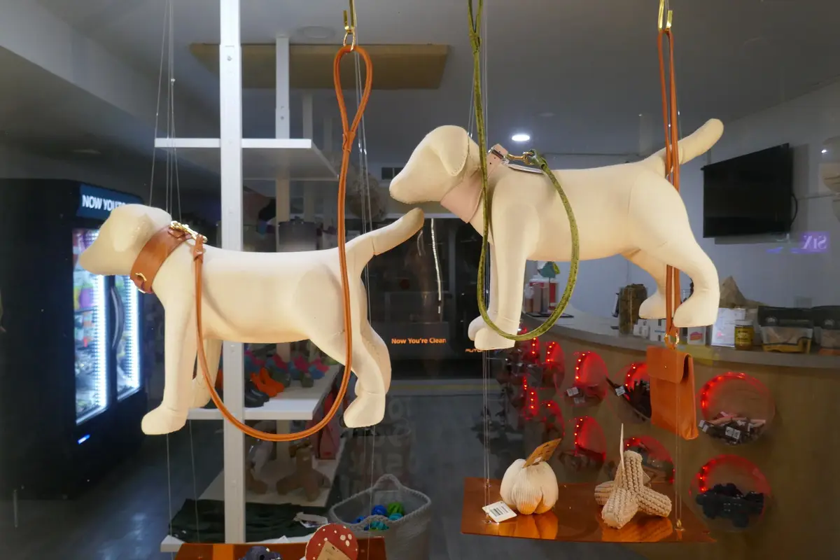 Two beige dog-shaped mannequins hang suspended in a store window, each wearing a leash and harness. The dog on the left has…