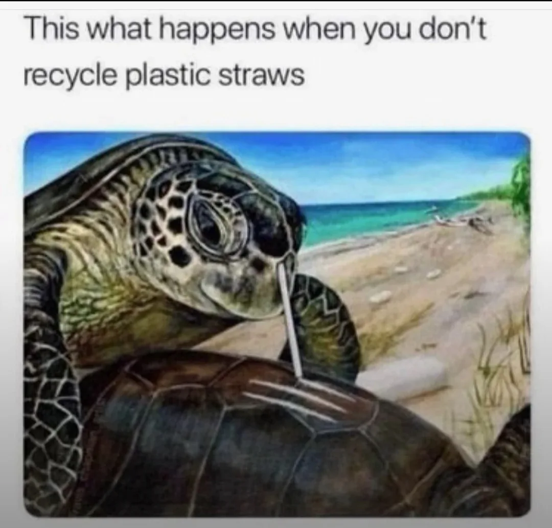 A painted image shows a sea turtle on a beach with a plastic straw stuck in its mouth, and another straw embedded in its…
