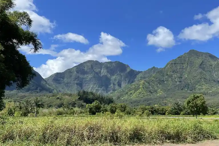 A scenic photo of lush green mountains under a bright blue sky with scattered white clouds, framed by trees and tall grass…