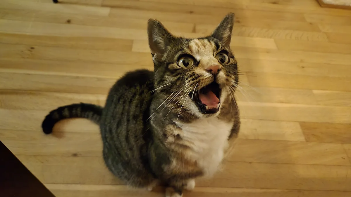 New phone, new camera adventures await!