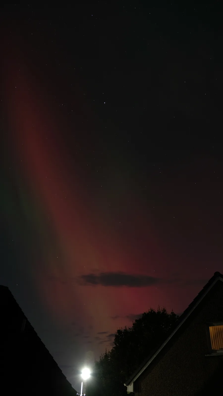 A night sky photo showing a vibrant red and green aurora borealis above rooftops and trees, with a bright streetlamp glowing…