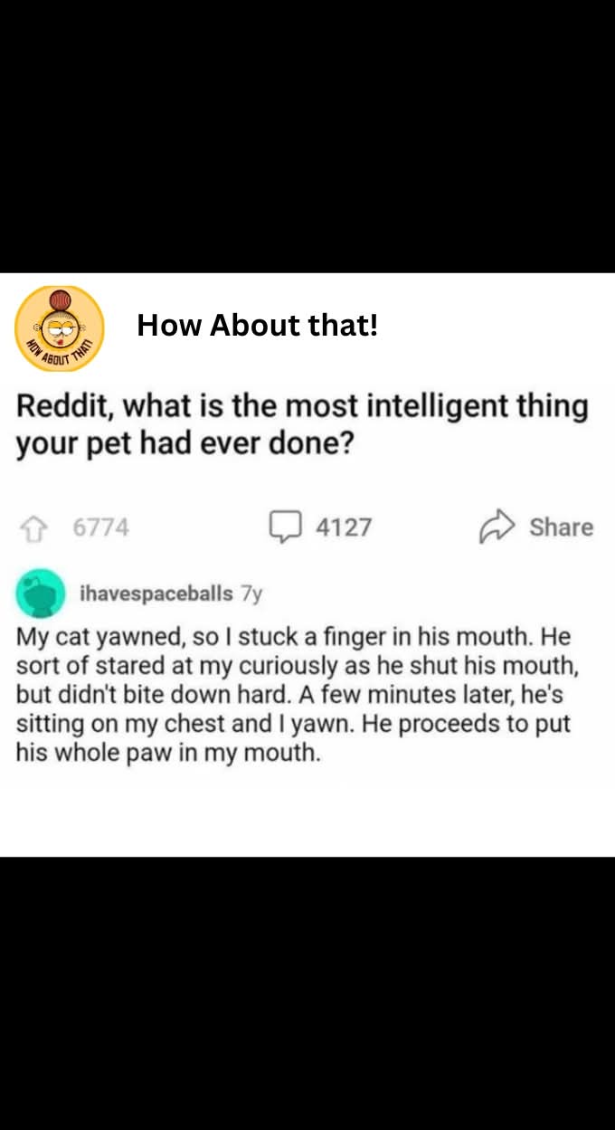A screenshot of a Reddit post from the subreddit 'How About That!' showing a user named 'ihavespaceballs' recounting an…