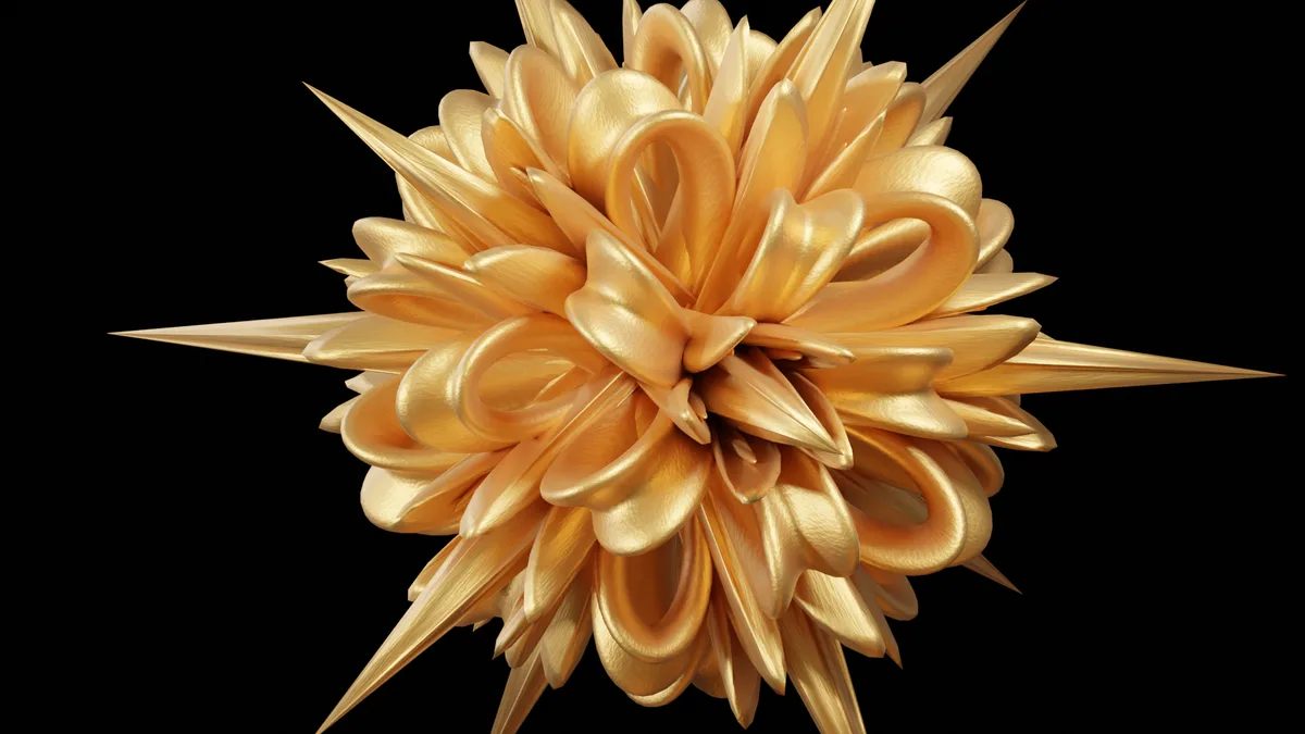 The Essence of Shape: A Visual Journey
